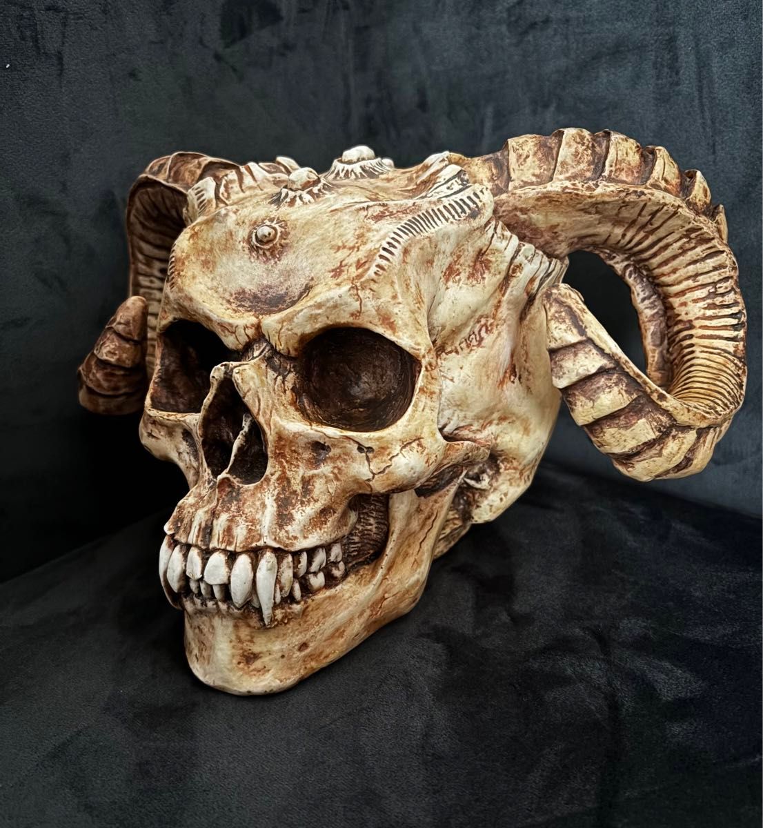 悪魔バフォメットの頭蓋骨 デビル ガイコツ髑髏 ドクロ スカル 悪魔バフォメットの頭蓋骨 デビル ガイコツ髑髏 ドクロ スカル