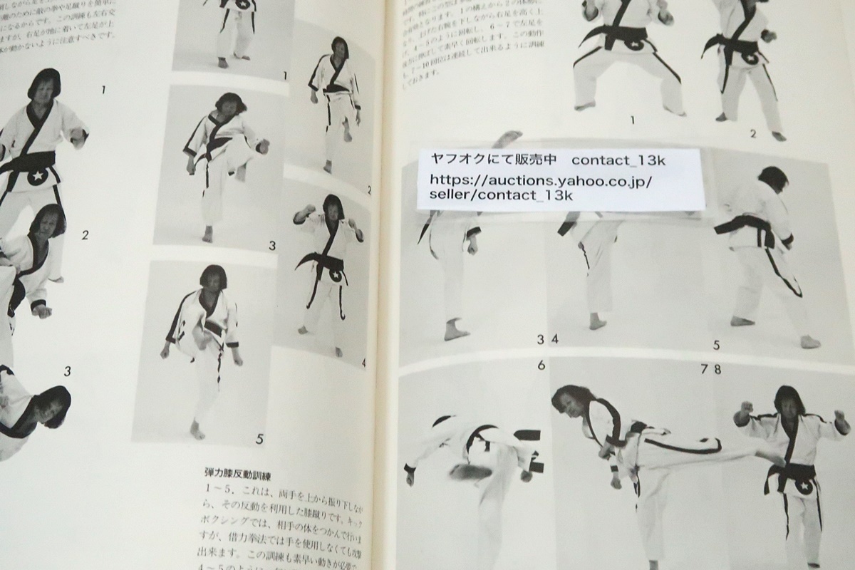 秘武道・借力拳・その思想と技法/力拔山/大山倍達・極真会館館 秘武道・借力拳・その思想と技法/力拔山/大山倍達・極真会館館