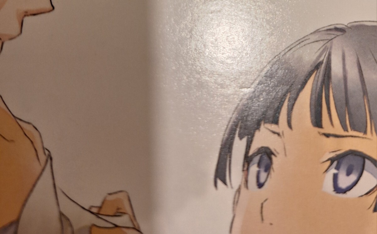 特装版 薬屋のひとりごと 13巻 日向夏 しのとうこ 特典 特装版 薬屋のひとりごと 13巻 日向夏 しのとうこ 特典