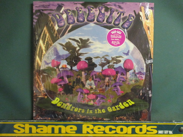 Deee-Lite ： Dewdrops In The Garden 2LP // Picnic In The Summertime / Say Ahhh / Bring Me Your Love / DJ Dmitry_画像1