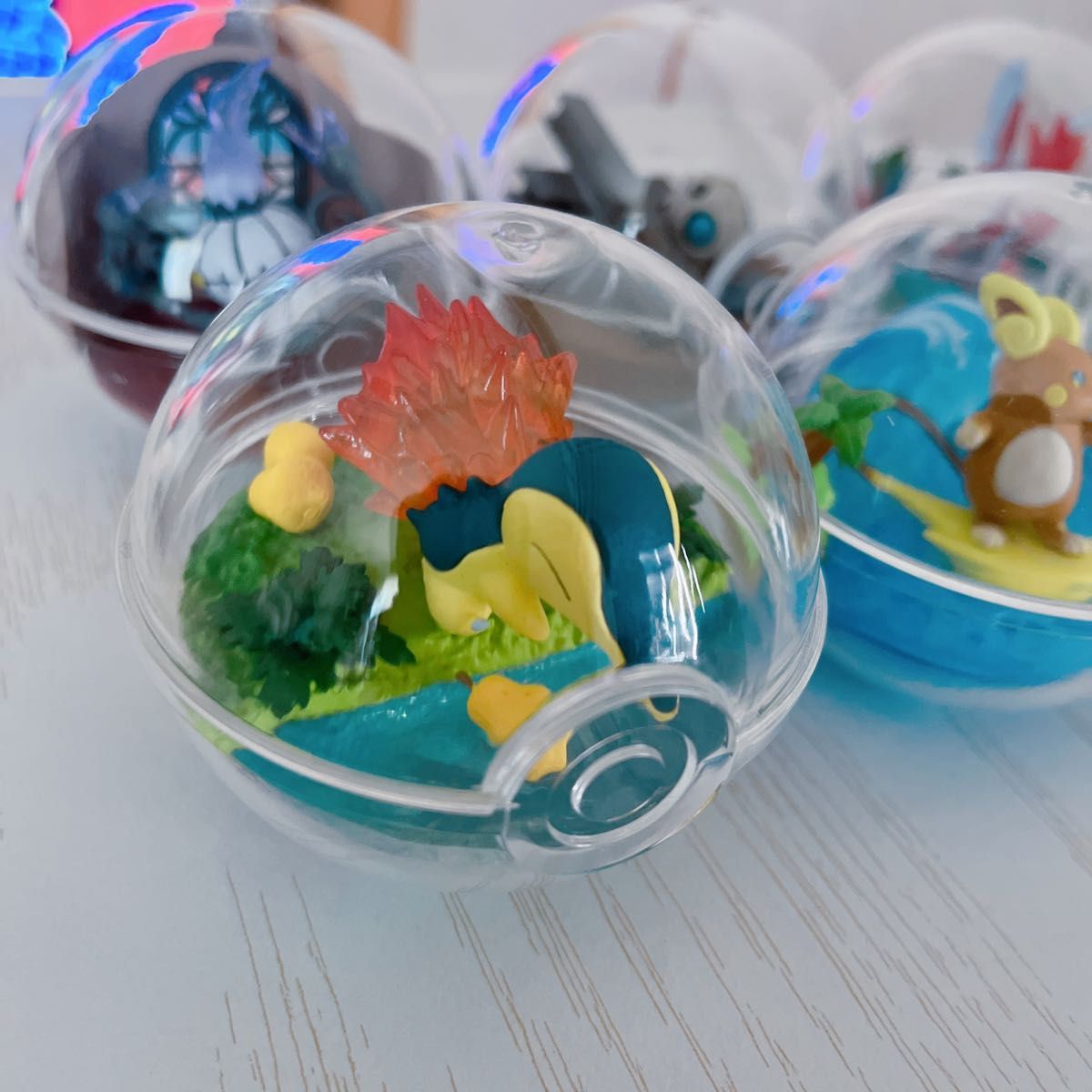 ポケットモンスター テラリウムコレクション リーメント ポケットモンスター テラリウムコレクション リーメント