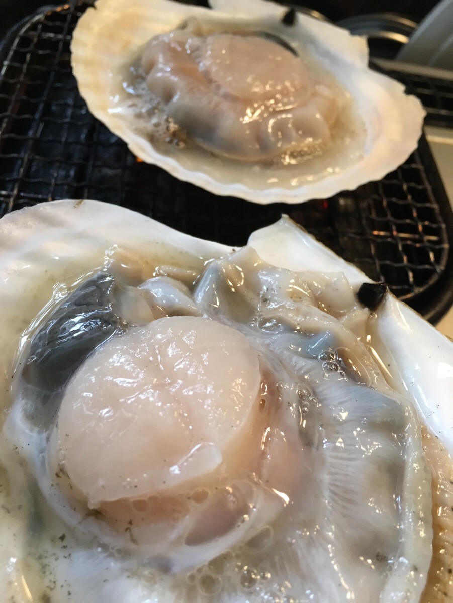  Hokkaido production . scallop 14 kilo ~15 kilo ( 65 sheets ~75 sheets )