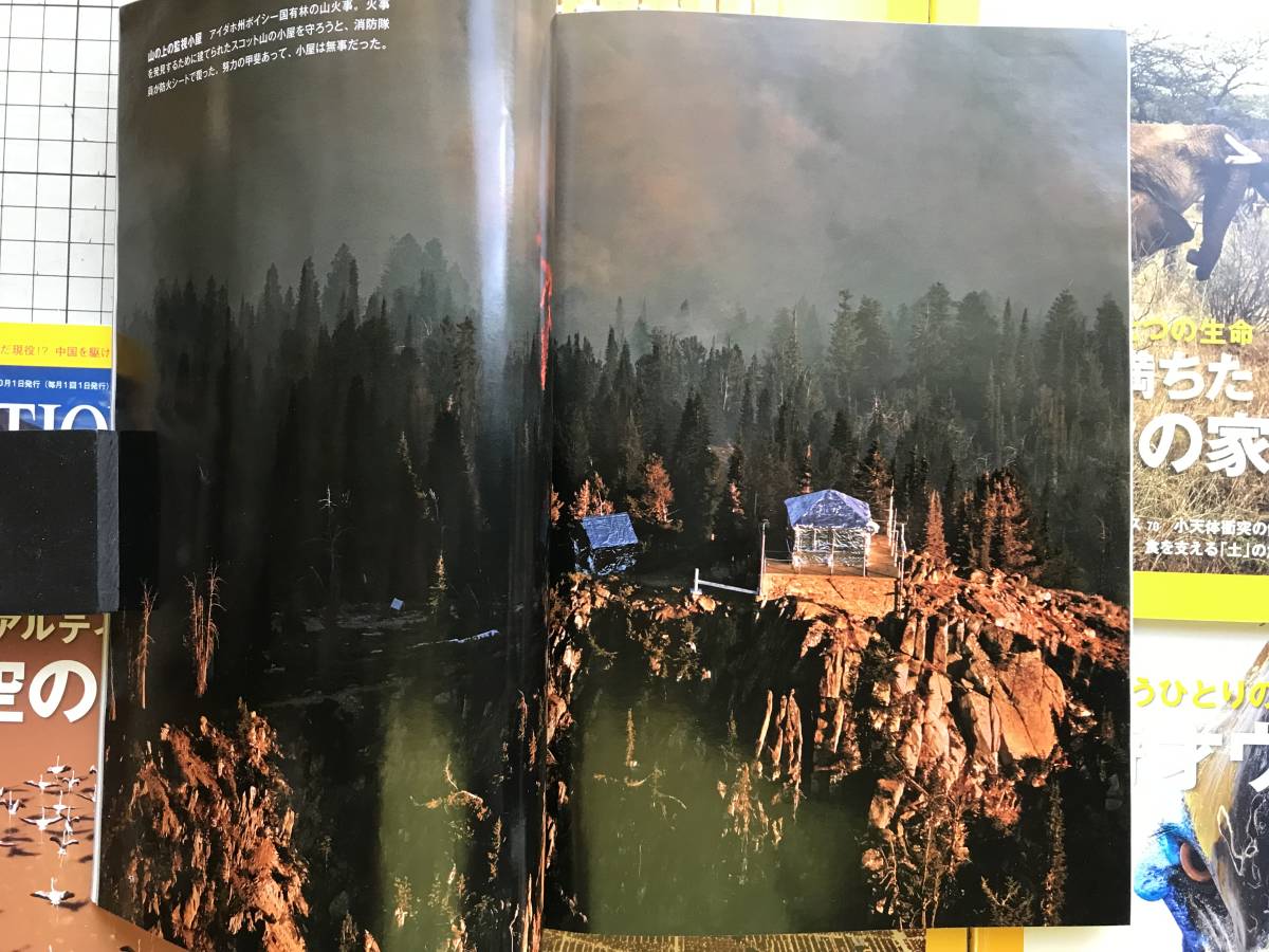 『NATIONAL GEOGRAPHIC 日本版 2008年7～12月号6冊セット』山火事・ペルシャ・ゾウの家族・アルティプラノ・照明の海・ウォレス 他 04887_画像2