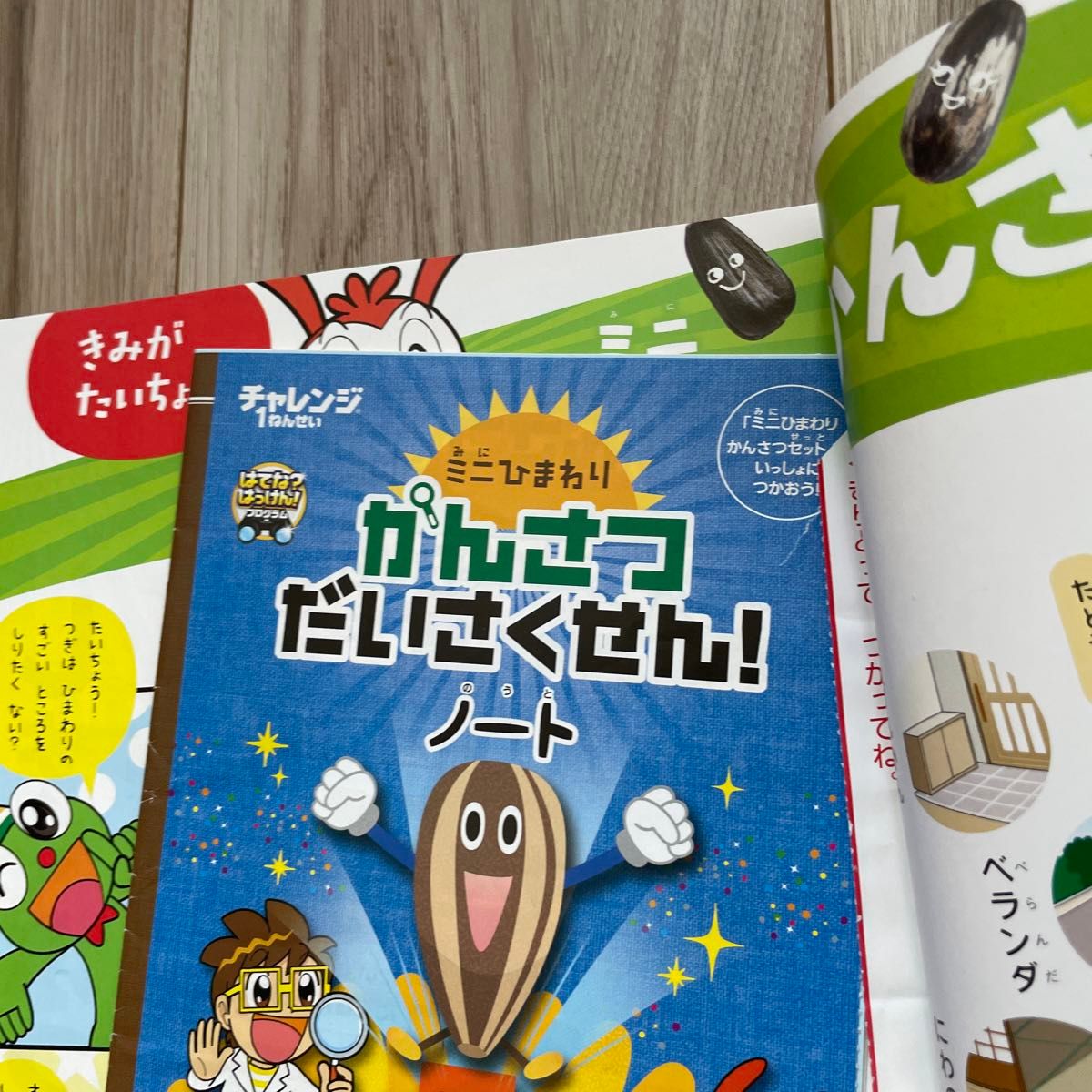 チャレンジ 1年生 幼児向け 学習教材 1年分 教材 本 絵本 学習 チャレ友クラブ(一年分プラス2冊)14冊セット チャレンジ1年生 副