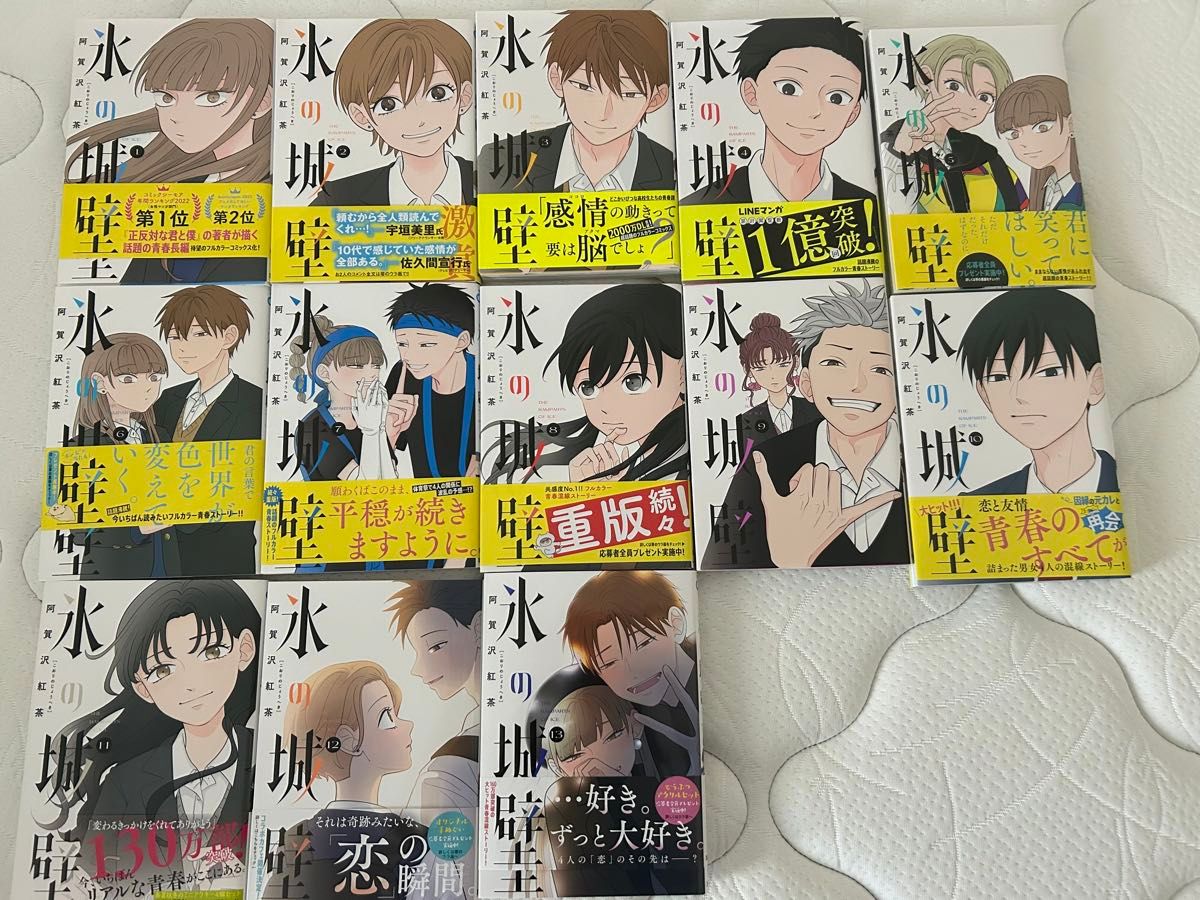 氷の城壁 1〜13巻 既刊全巻 漫画 氷の城壁 1〜13巻 既刊全巻 漫画