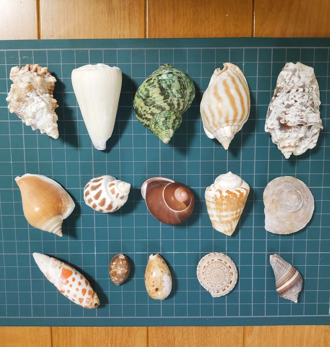 item_image_5