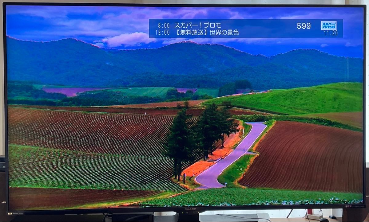 Panasonic パナソニック スカパー プレミアムサービスDVR (録画 Panasonic パナソニック スカパー プレミアムサービスDVR (録画