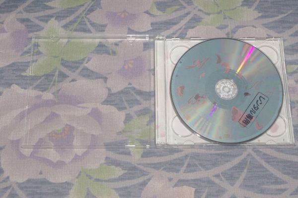 〇♪AKB48　桜の木になろう（初回限定盤 TYPE-B）　CD盤（ジャケなし）_画像2