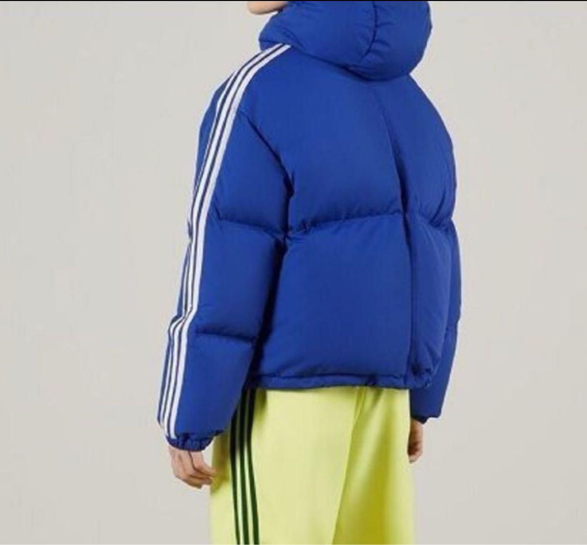 adidas×GUCCI アディダス×グッチ ダウンジャケット|Yahoo adidas×GUCCI アディダス×グッチ ダウンジャケット|Yahoo