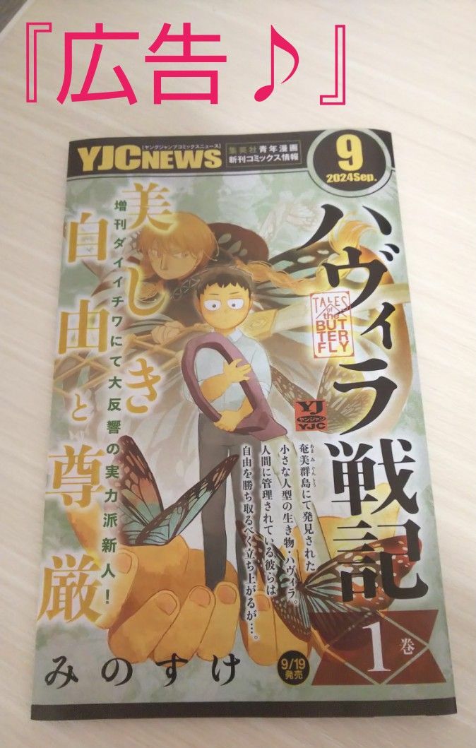 キングダム/最新刊 73巻 】【帯つき (^-^) 】『9月19日 発売分 キングダム/最新刊 73巻 】【帯つき (^-^) 】『9月19日 発売分