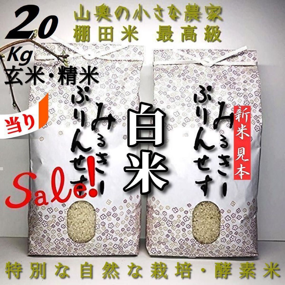 自然栽培 ミルキープリンセス 無農薬 玄米20kg【精米して発送 自然栽培 ミルキープリンセス 無農薬 玄米20kg【精米して発送