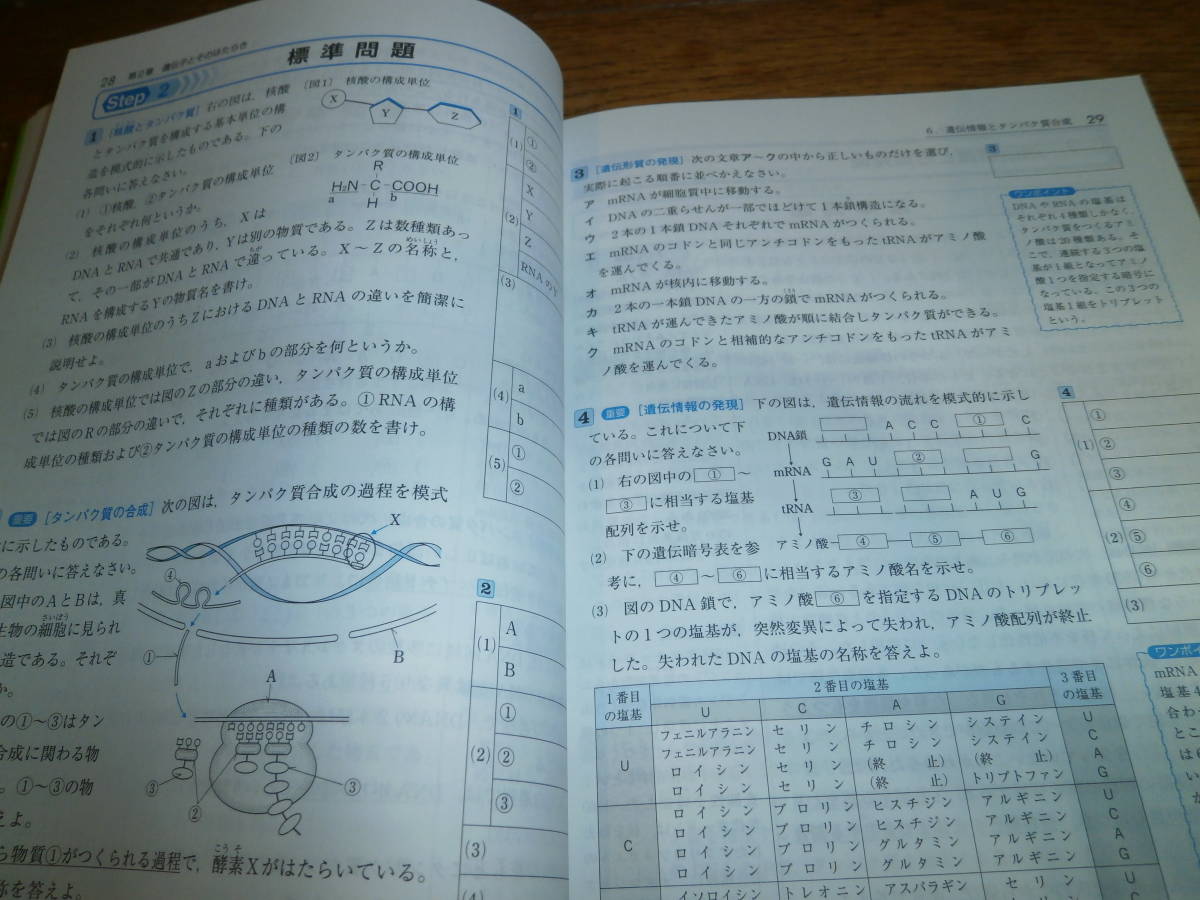 代購代標第一品牌 樂淘letao 高校参考書 3step 基礎からの定期テスト 入試対策高校標準問題集生物基礎 C