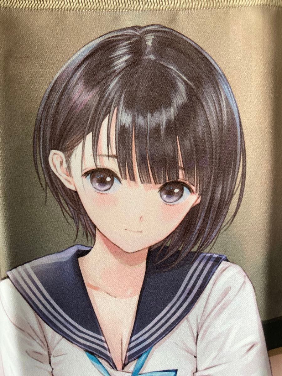 BLUE REFLECTION ブルーリフレクション 白井日菜子 布ポスター BLUE REFLECTION ブルーリフレクション 白井日菜子 布ポスター