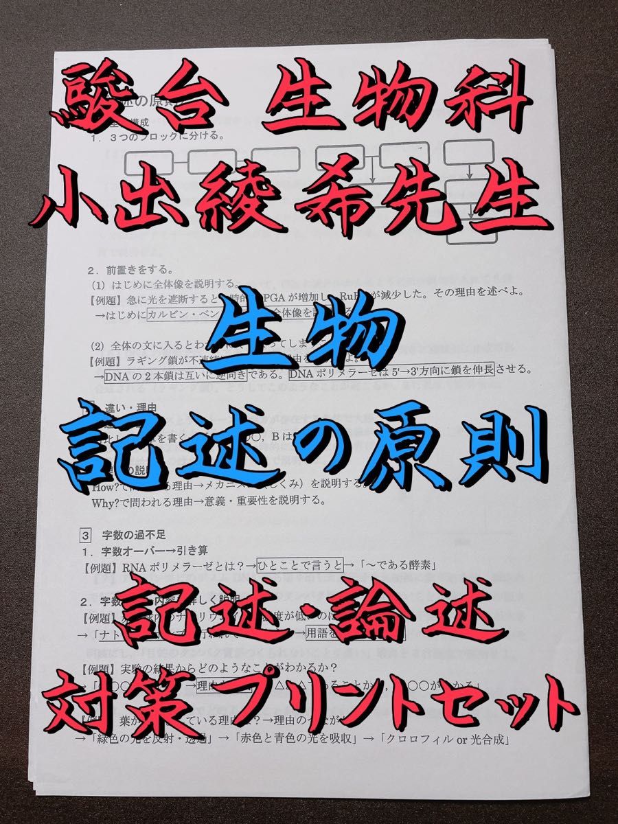 駿台 生物科 小出綾希先生 記述・論述対策プリントセット 鉄緑会 駿台 生物科 小出綾希先生 記述・論述対策プリントセット 鉄緑会
