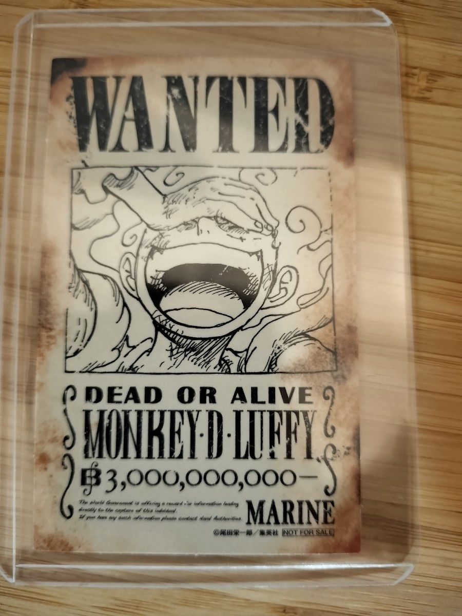 ジャンプフェスタ 手配書 ルフィ ニカ ONE PIECE ワンピース ジャンプフェスタ 手配書 ルフィ ニカ ONE PIECE ワンピース