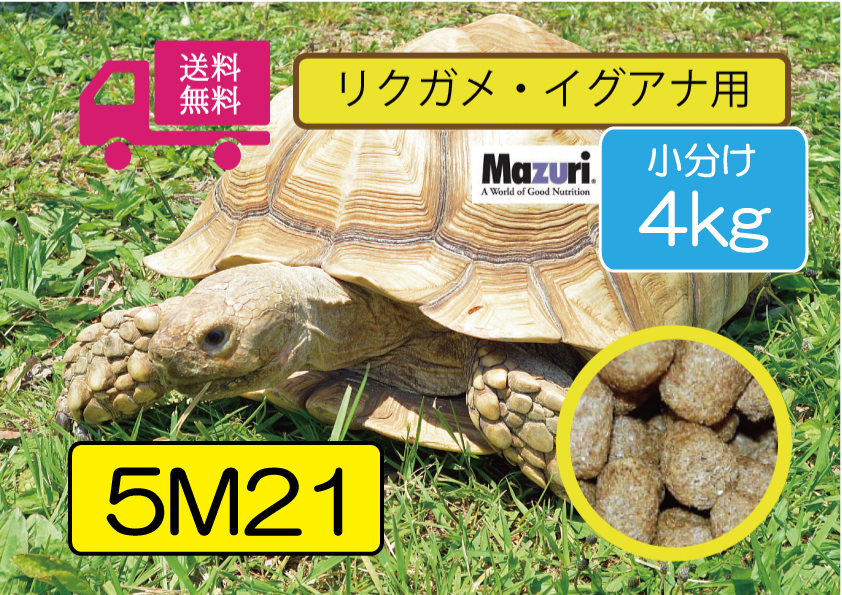 ☆送料無料☆ レッドローチ L〜成虫サイズ 500グラム 数不明 死 ☆送料無料☆ レッドローチ L〜成虫サイズ 500グラム 数不明 死