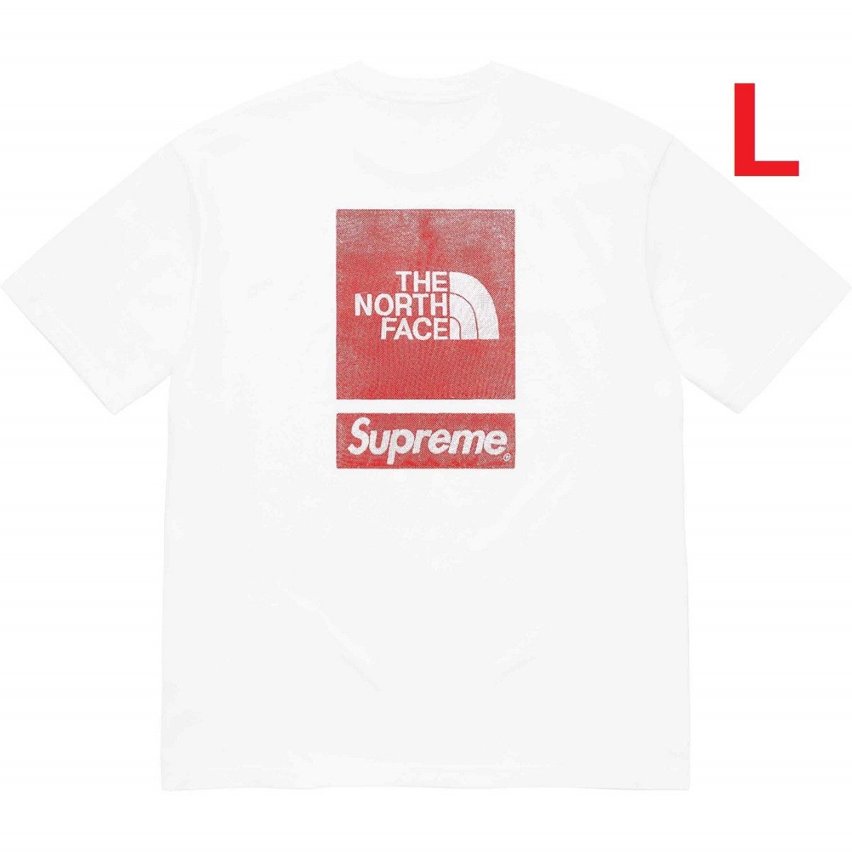 Lサイズ Supreme The North Face S/S Top White シュプリーム Lサイズ Supreme The North Face S/S Top White シュプリーム