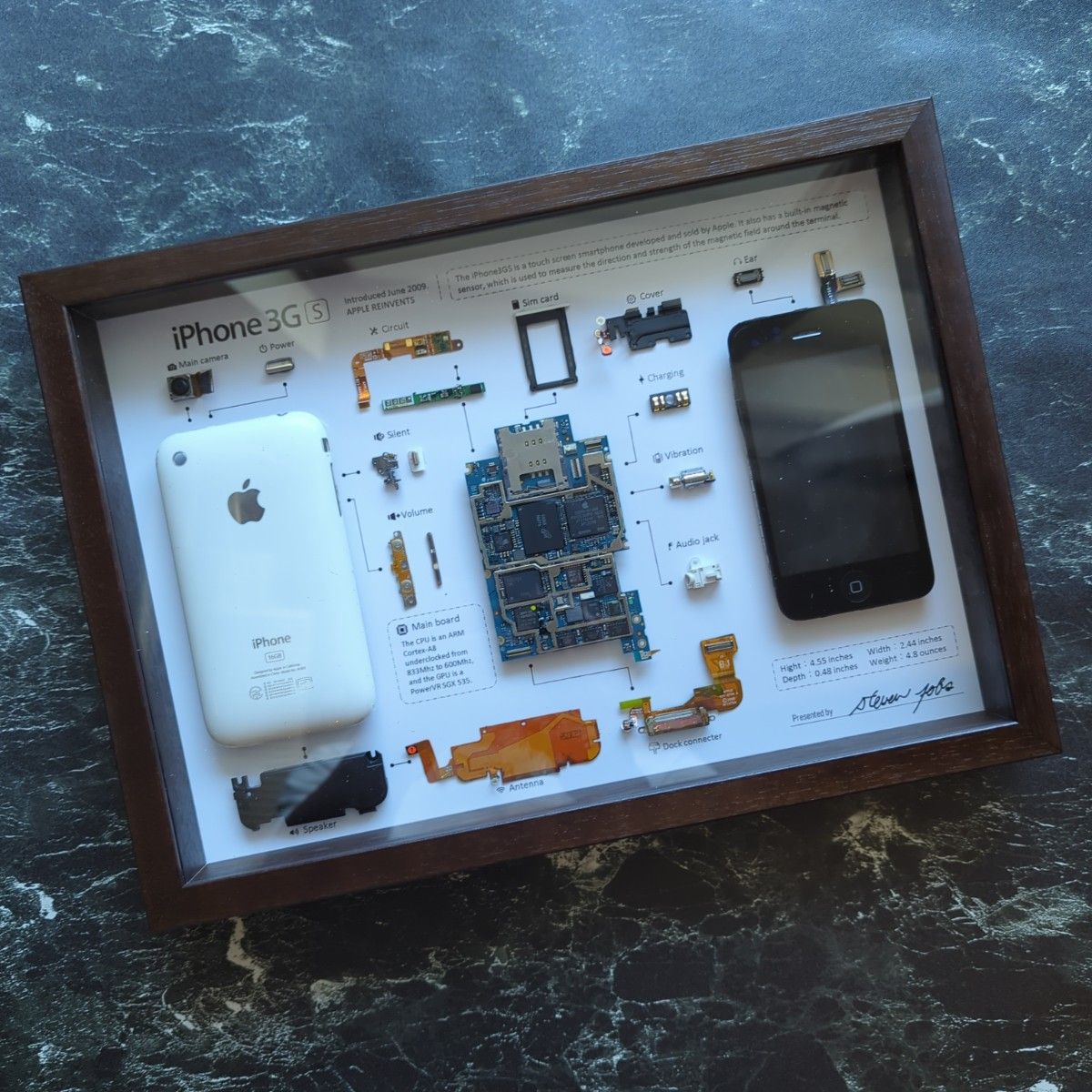 iPhone 3GS White 標本アート ボックスフレーム仕様【Black iPhone 3GS White 標本アート ボックスフレーム仕様【Black