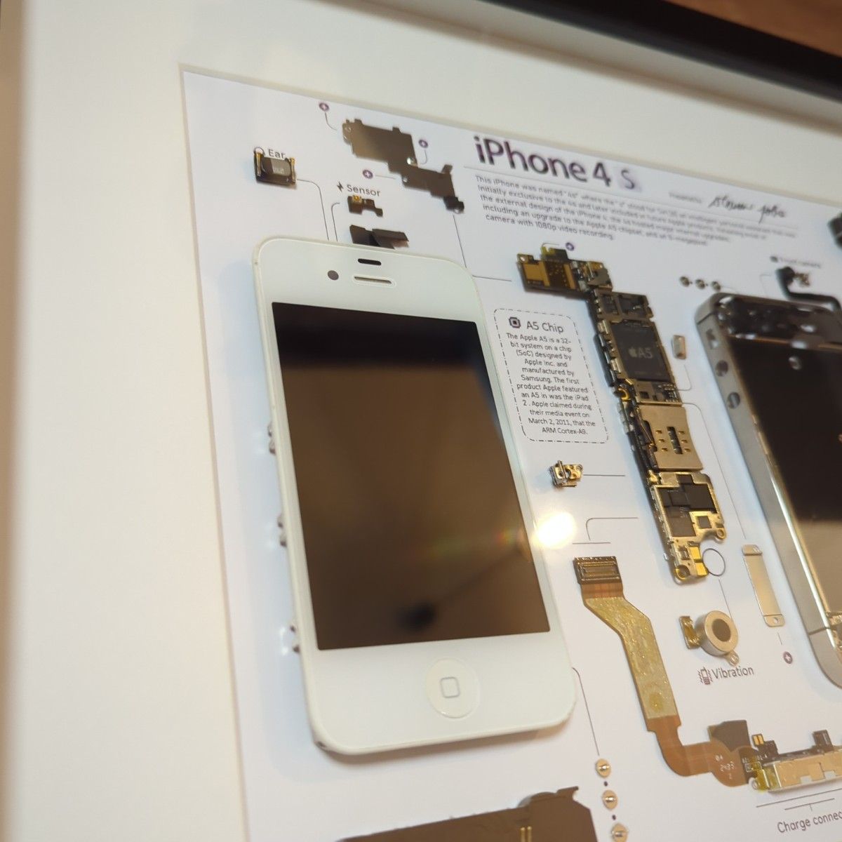 iPhone4s ホワイト 標本アート A3額縁|Yahoo!フリマ(旧PayPay iPhone4s ホワイト 標本アート A3額縁|Yahoo!フリマ(旧PayPay
