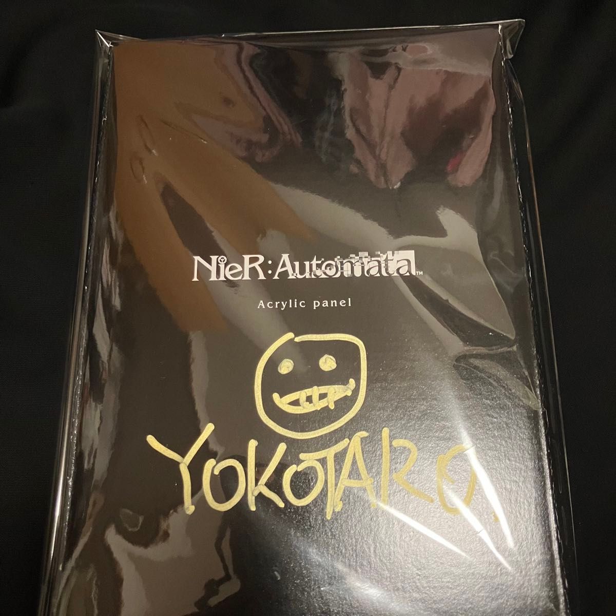 2024TGS NieR: アクリルパネル3種セットサイン入り 会場限定 ニーア tgs2024 NieR Automata アクリルパネル サイン入り|Yahoo