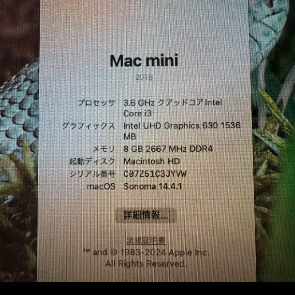 mac mini 2018 一日限定値下げ|Yahoo!フリマ(旧PayPayフリマ) mac mini 2018 一日限定値下げ|Yahoo!フリマ(旧PayPayフリマ)