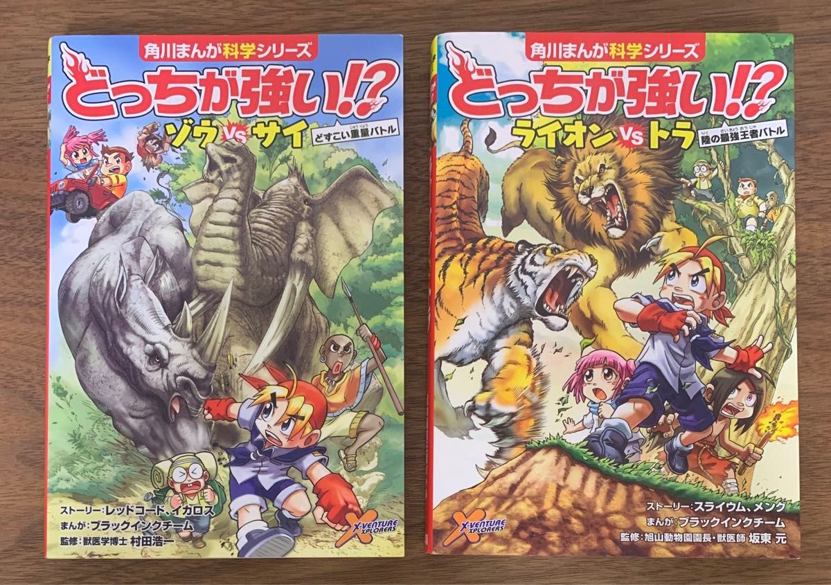 どっちが強い!? ライオン vs トラ ゾウ vs サイ どっちが強い!? ライオン vs トラ ゾウ vs サイ