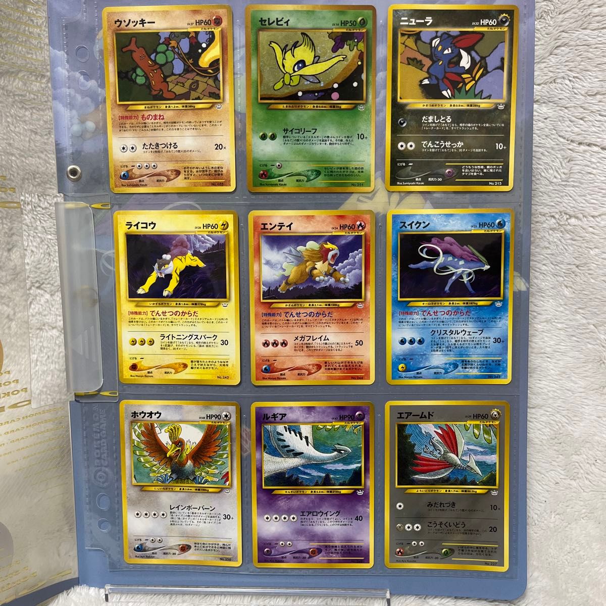 ポケモンカードneo プレミアムファイル目覚める伝説|Yahoo ポケモンカードneo プレミアムファイル目覚める伝説|Yahoo
