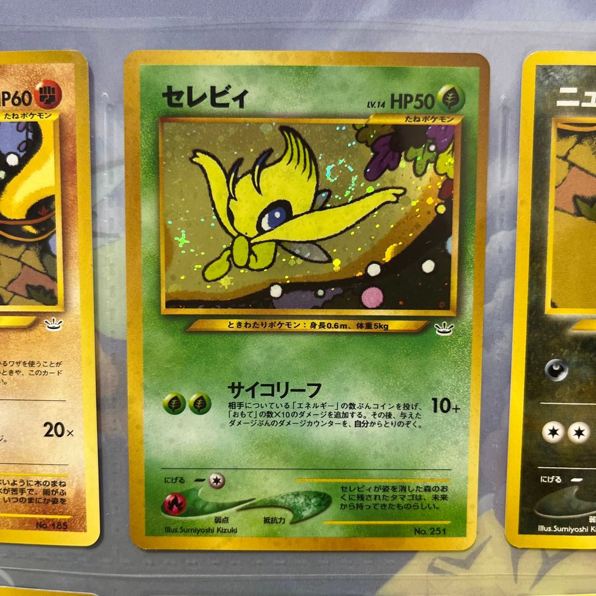 ポケモンカードneo プレミアムファイル目覚める伝説|Yahoo ポケモンカードneo プレミアムファイル目覚める伝説|Yahoo