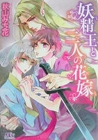 〒ＢＬ小説　秋山みち花　妖精王と二人の花嫁／見習い騎士と暴君な金獅子／侯爵様の花嫁教育／神獣の褥／御曹司の婚姻　他【バラ売りＯＫ】_画像5