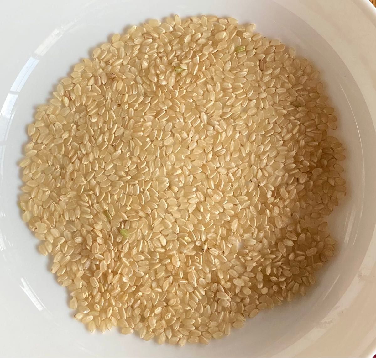 令和6年 茨城県産コシヒカリ 10㎏ を精米|Yahoo!フリマ(旧 令和6年 茨城県産コシヒカリ 10㎏ を精米|Yahoo!フリマ(旧