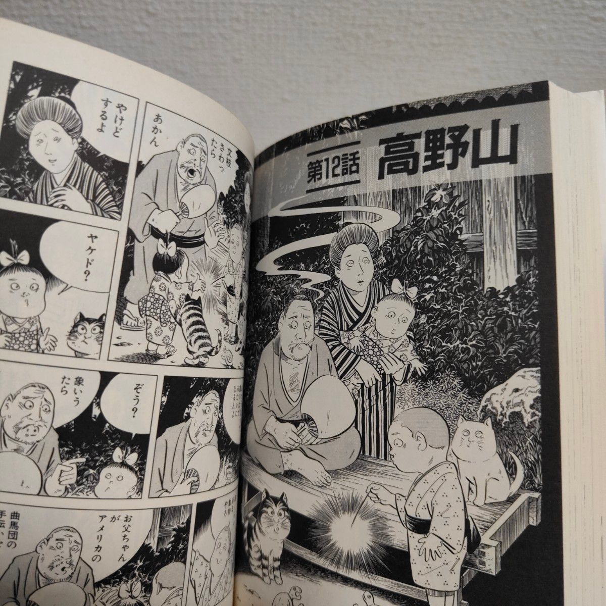 猫楠 南方熊楠の生涯 』 水木しげる / 伝記 人物記 × 漫画 猫楠 南方熊楠の生涯 』 水木しげる / 伝記 人物記 × 漫画