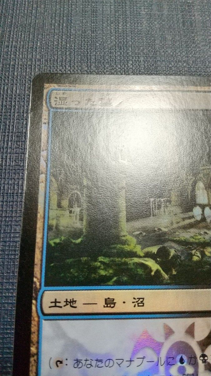 mtg 湿った墓 初版 foil その1 mtg 湿った墓 初版 foil その1 - マジック:ザ・ギャザリング