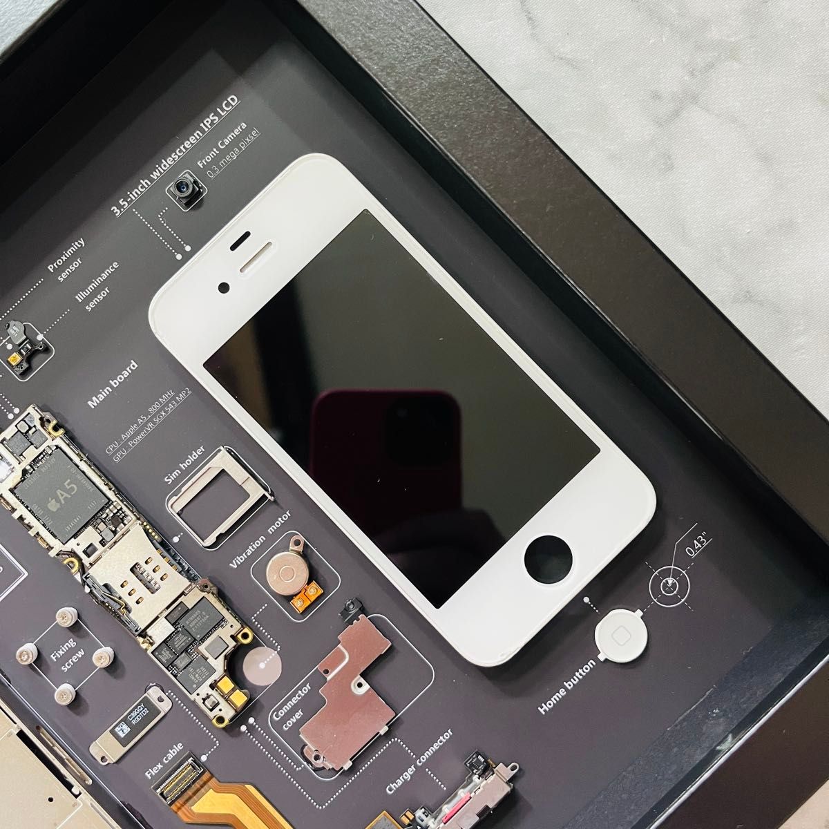 iPhone 4s 標本アート ボックスフレーム仕様|Yahoo!フリマ(旧 iPhone 4s 標本アート ボックスフレーム仕様|Yahoo!フリマ(旧