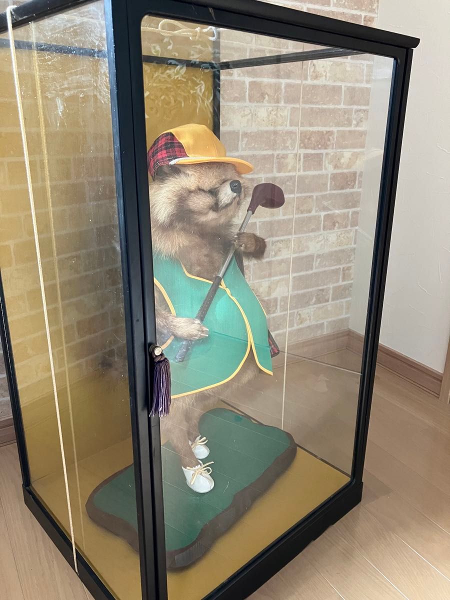 希少】たぬき ゴルフ 剥製 アンティーク 貴重 レア|Yahoo 希少】たぬき ゴルフ 剥製 アンティーク 貴重 レア|Yahoo