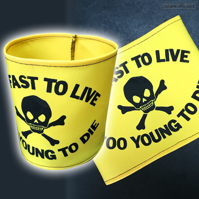 *British PUNK Fashion* lock . accent * arm band arm band [TOO FAST TO LIVE TOO YOUNG TO DIE (YE)] free shipping 