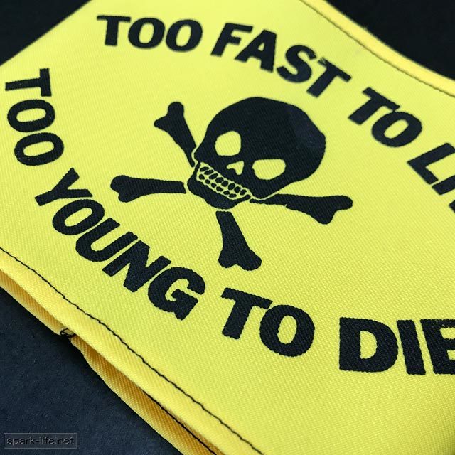 *British PUNK Fashion* lock . accent * arm band arm band [TOO FAST TO LIVE TOO YOUNG TO DIE (YE)] free shipping 