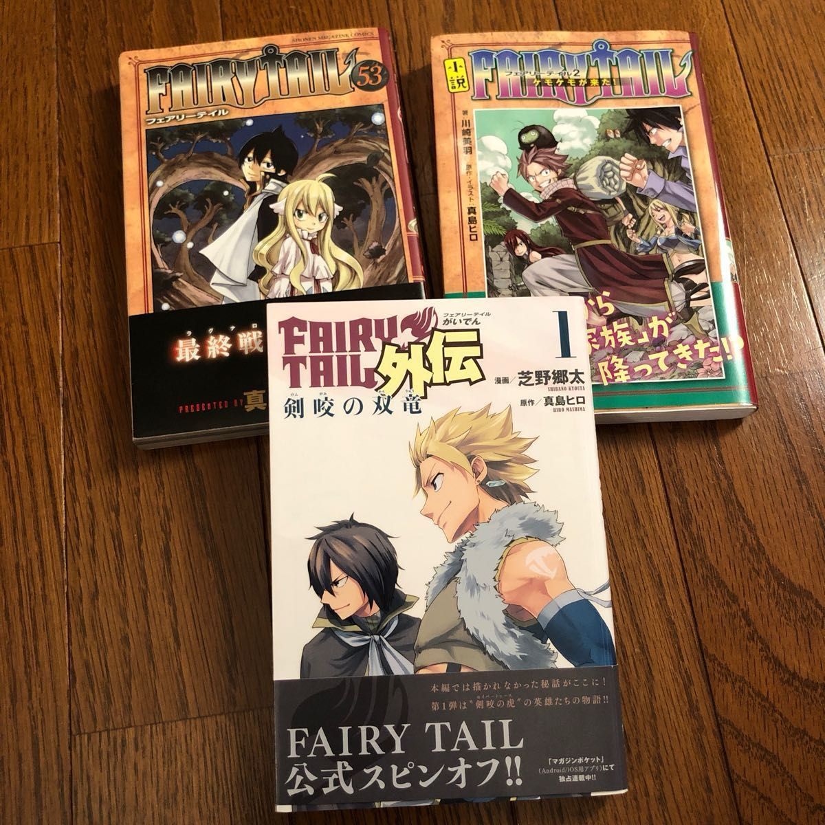 FAIRY TAIL 53巻 小説フェアリーテイル2 フェアリーテイル外伝 FAIRY TAIL 53巻 小説フェアリーテイル2 フェアリーテイル外伝