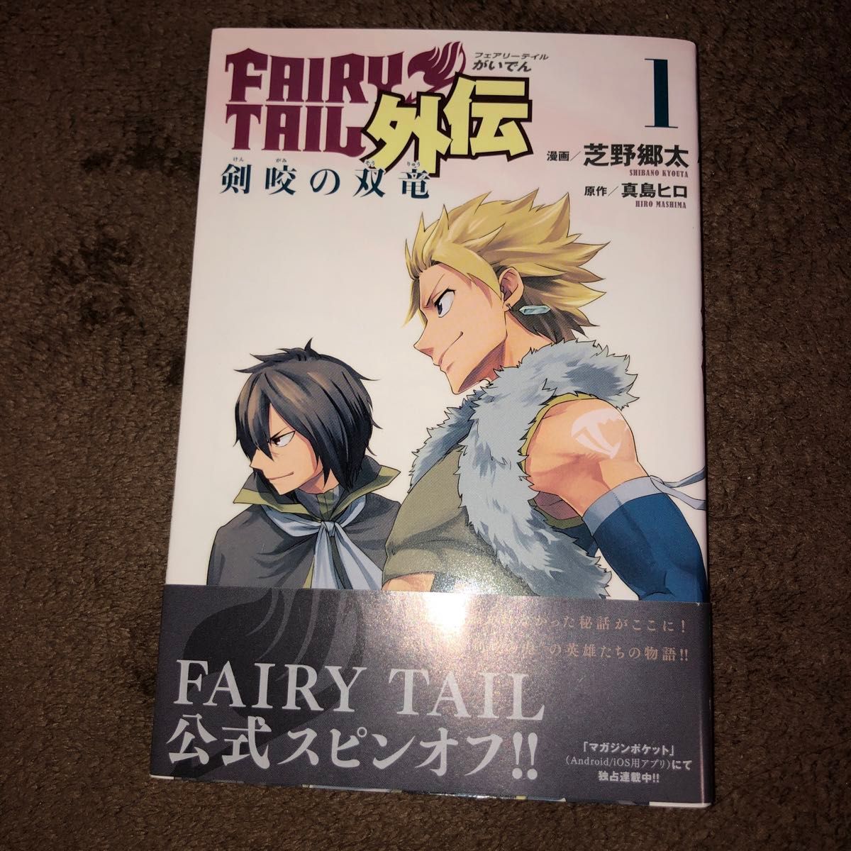 FAIRY TAIL 53巻 小説フェアリーテイル2 フェアリーテイル外伝 FAIRY TAIL 53巻 小説フェアリーテイル2 フェアリーテイル外伝