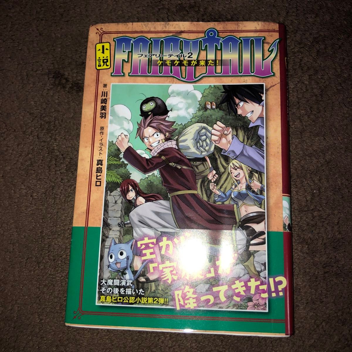 FAIRY TAIL 53巻 小説フェアリーテイル2 フェアリーテイル外伝 FAIRY TAIL 53巻 小説フェアリーテイル2 フェアリーテイル外伝