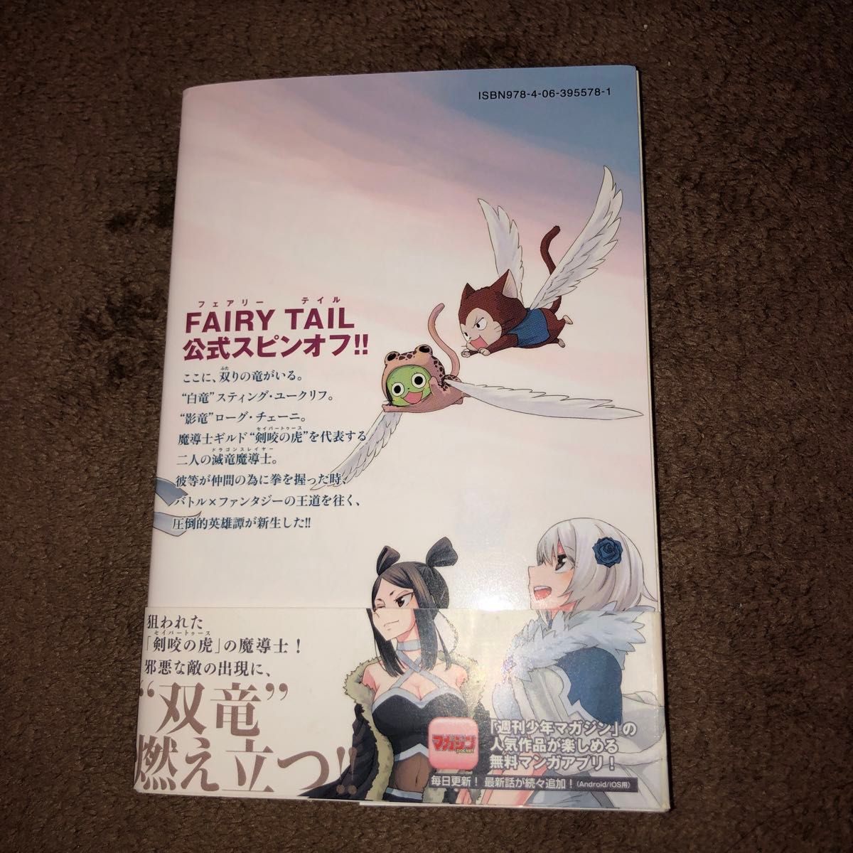 FAIRY TAIL 53巻 小説フェアリーテイル2 フェアリーテイル外伝 FAIRY TAIL 53巻 小説フェアリーテイル2 フェアリーテイル外伝