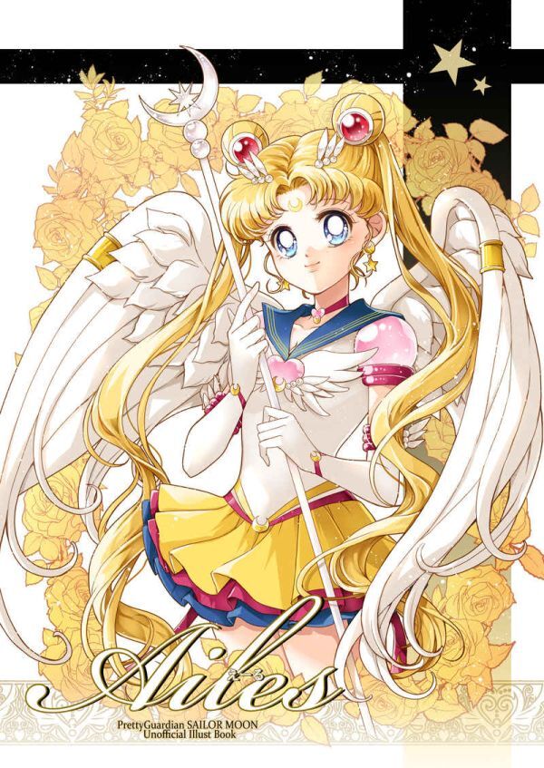 セーラームーン 月の記憶 /花雨 Ailes 地場衛×月野うさぎ セーラームーン 月の記憶 /花雨 Ailes 地場衛×月野うさぎ