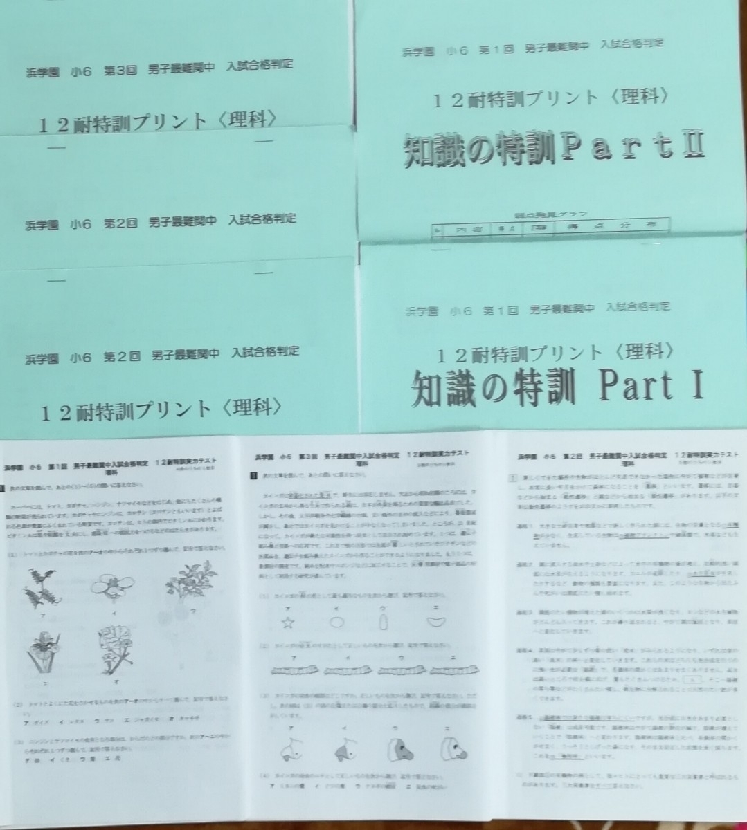 充実の品 浜学園 小年生 知識の特訓 耐特訓 理科 中学受験