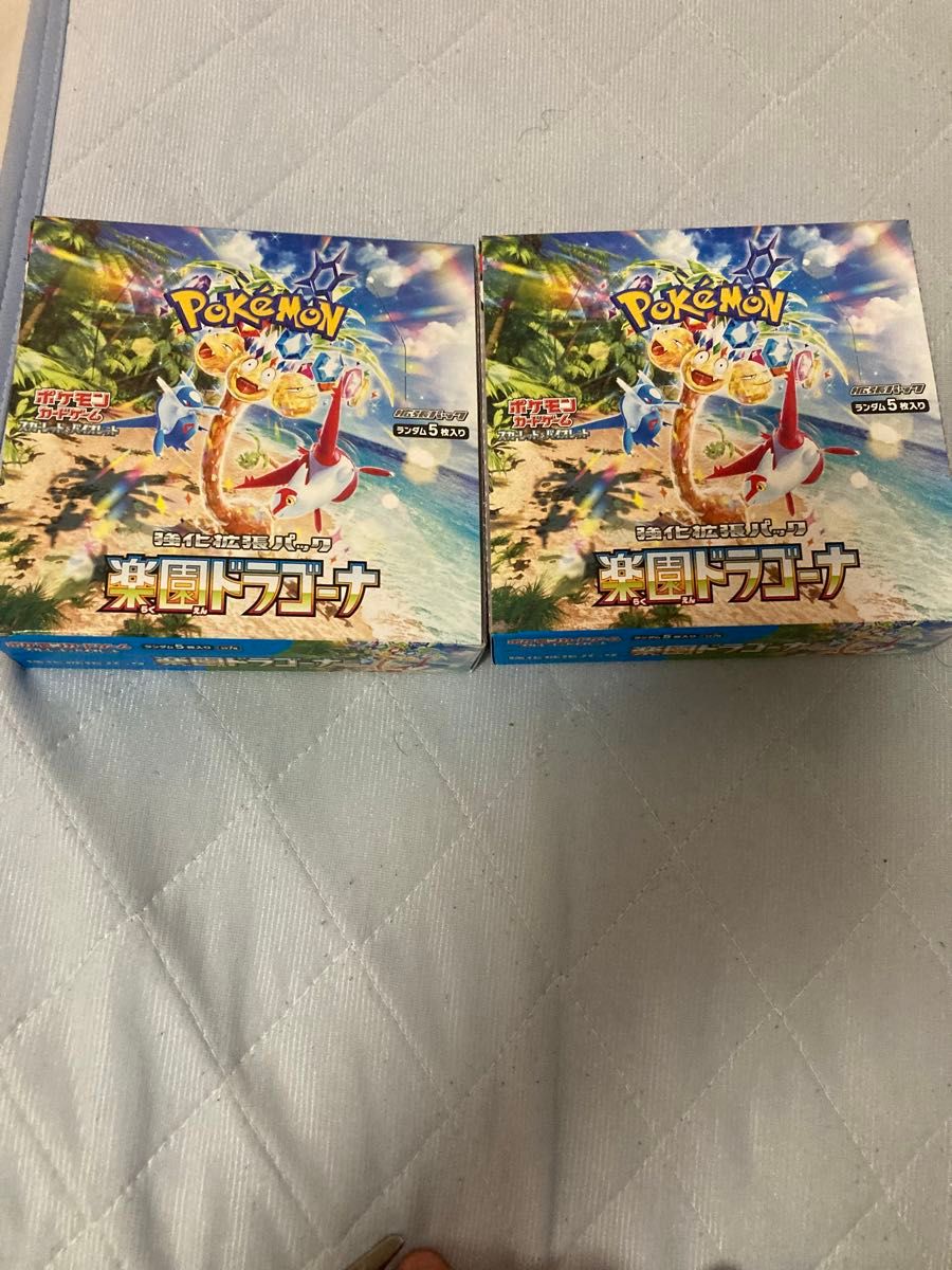 ポケモンカードゲーム 楽園ドラゴーナ ポケカ 拡張パック 2box ポケモンカードゲーム 楽園ドラゴーナ ポケカ 拡張パック 2box