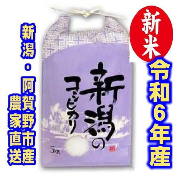 新米　令和6年産　新潟コシヒカリ　白米5kg×1個★農家直送★色彩選別済　検査1等米　8枚目の写真09