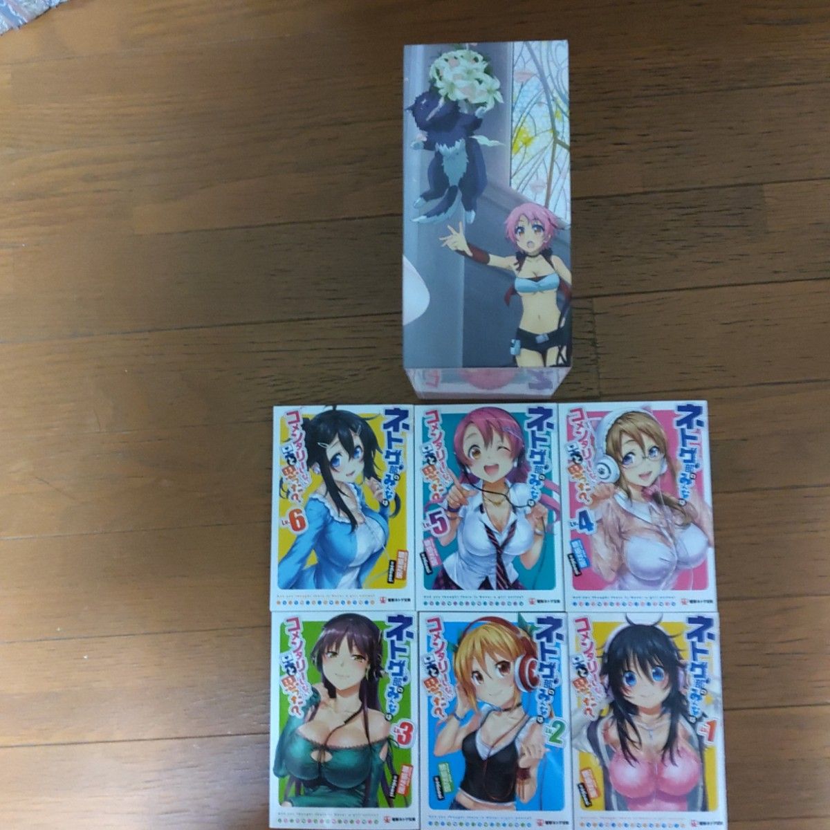 Blu-ray ネトゲの嫁は女の子じゃないと思った? 1巻 から6巻 初回限定版 収納BOX付き 全特典付き Blu-ray ネトゲの嫁は女の子じゃないと思った? 1巻 から6巻 初回限定版 収納BOX付き 全特典付き
