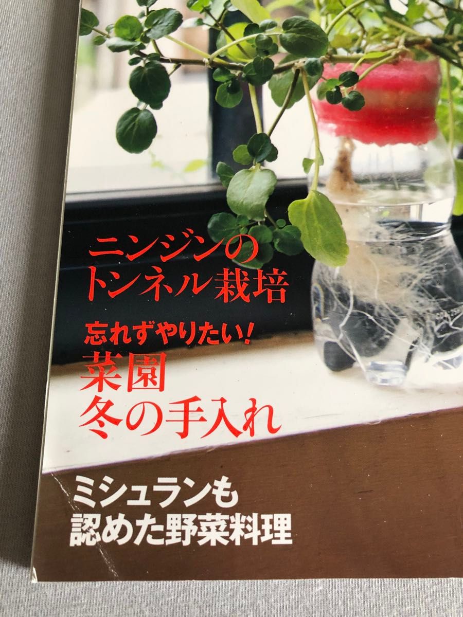 NHK趣味の園芸やさいの時間3冊セット2011年11 12 2012年1月号 NHK趣味の園芸やさいの時間3冊セット2011年11 12 2012年1月号