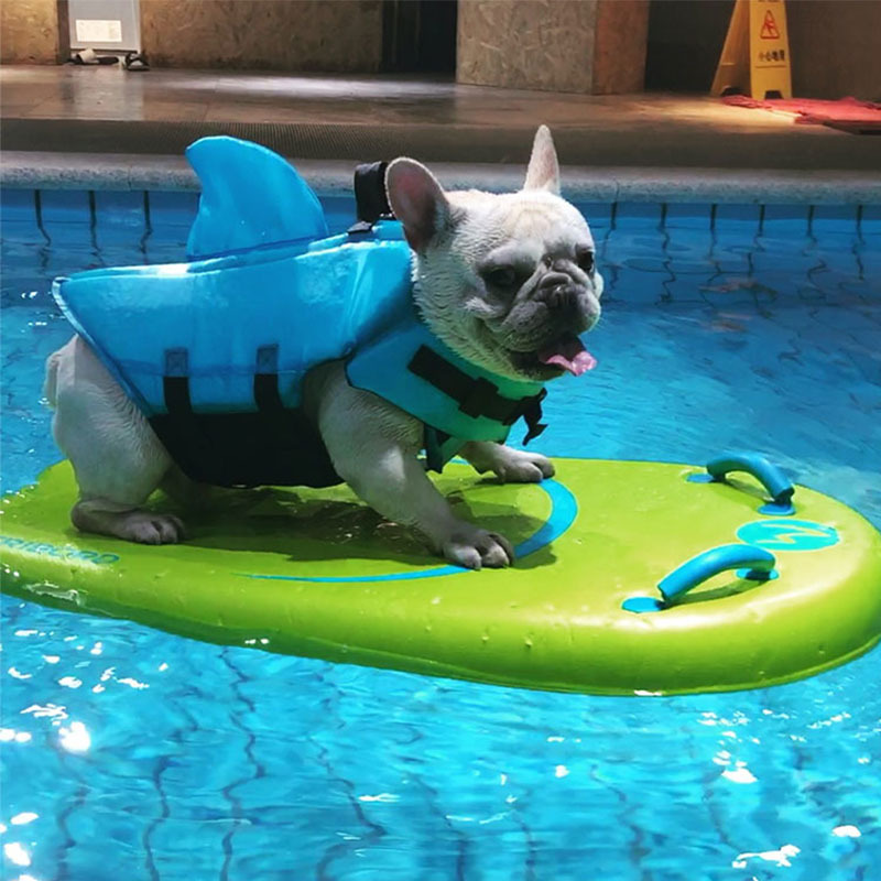 〇送料無料　ドッグライフジャケット 犬用ライフガード 水泳ベスト サメのひれ【a2040】