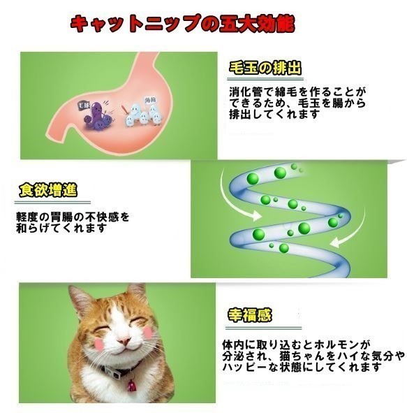 ヤフオク! - 猫ちゃんハッピー 猫ちゃんの歯磨きおもちゃ キ