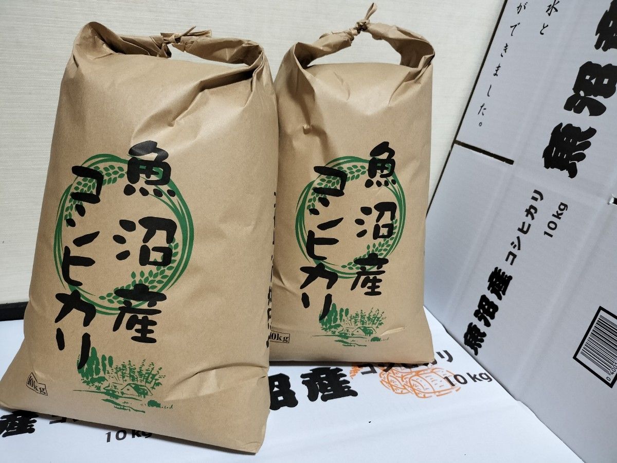 特別栽培米 魚沼産コシヒカリ6kg少し多目 令和6年新米|Yahoo 特別栽培米 魚沼産コシヒカリ6kg少し多目 令和6年新米|Yahoo