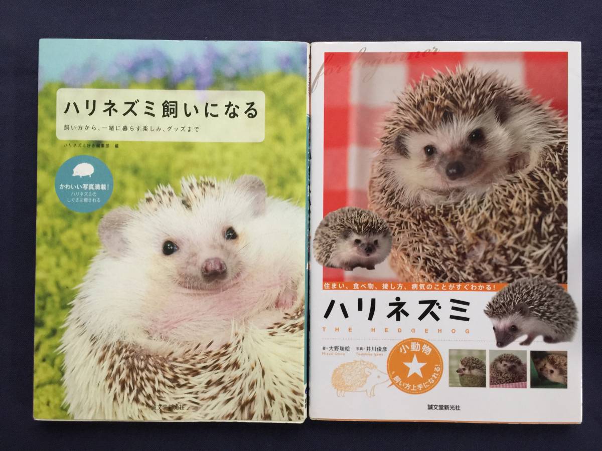 【クリックポスト】『ハリネズミ飼いになる』『ハリネズミ　住まい・食べ物・接し方・病気のことがすぐわかる！』【2冊セット】_画像1